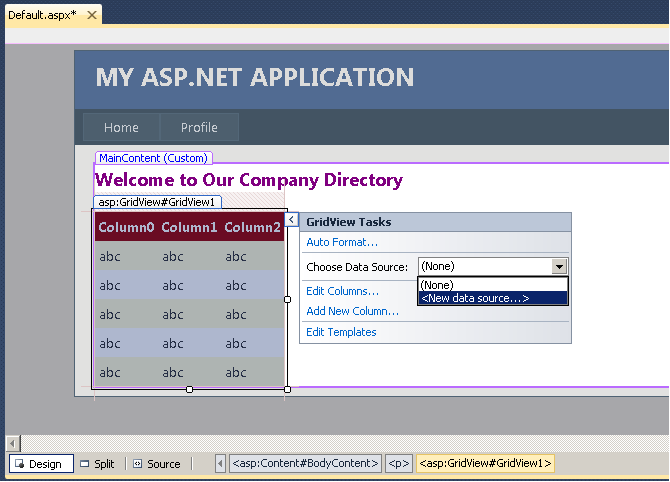 Add Controls to the Default Page